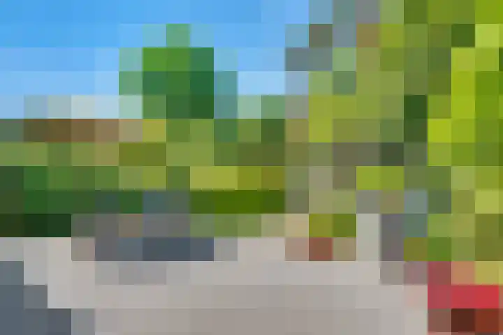 Julianaweg 28 Doorn thumbnail 55
