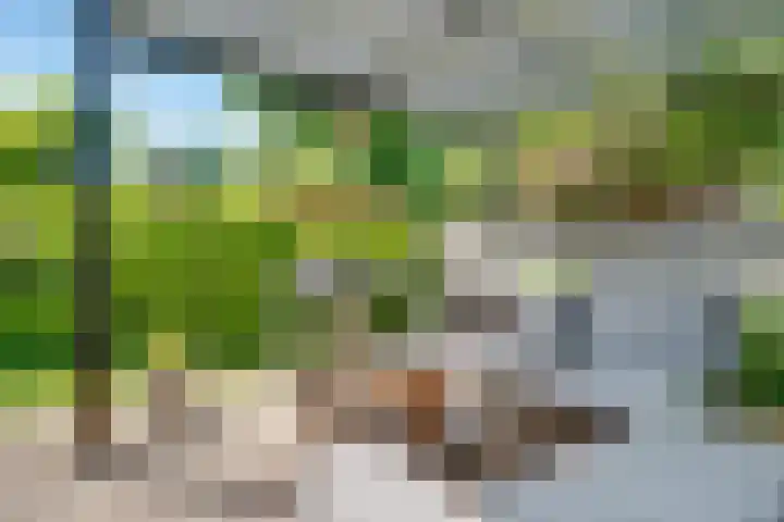 Julianaweg 28 Doorn thumbnail 57