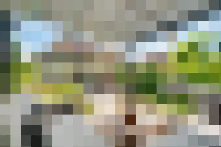 Julianaweg 28 Doorn thumbnail 58