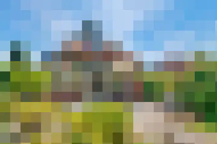 Julianaweg 28 Doorn thumbnail 59