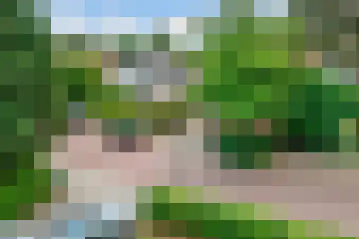 Julianaweg 28 Doorn thumbnail 61