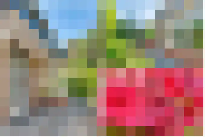Julianaweg 28 Doorn thumbnail 8