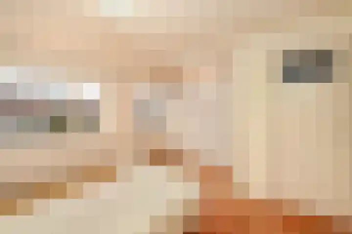 Julianaweg 283 Utrecht thumbnail 18