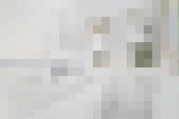Julianaweg 283 Utrecht thumbnail 20