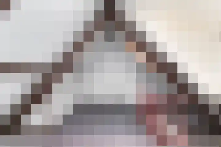 Julianaweg 283 Utrecht thumbnail 25