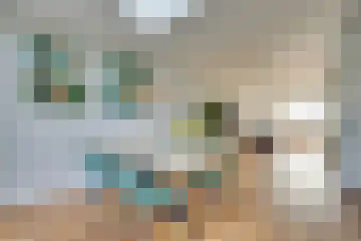 Julianaweg 285 Utrecht thumbnail 15