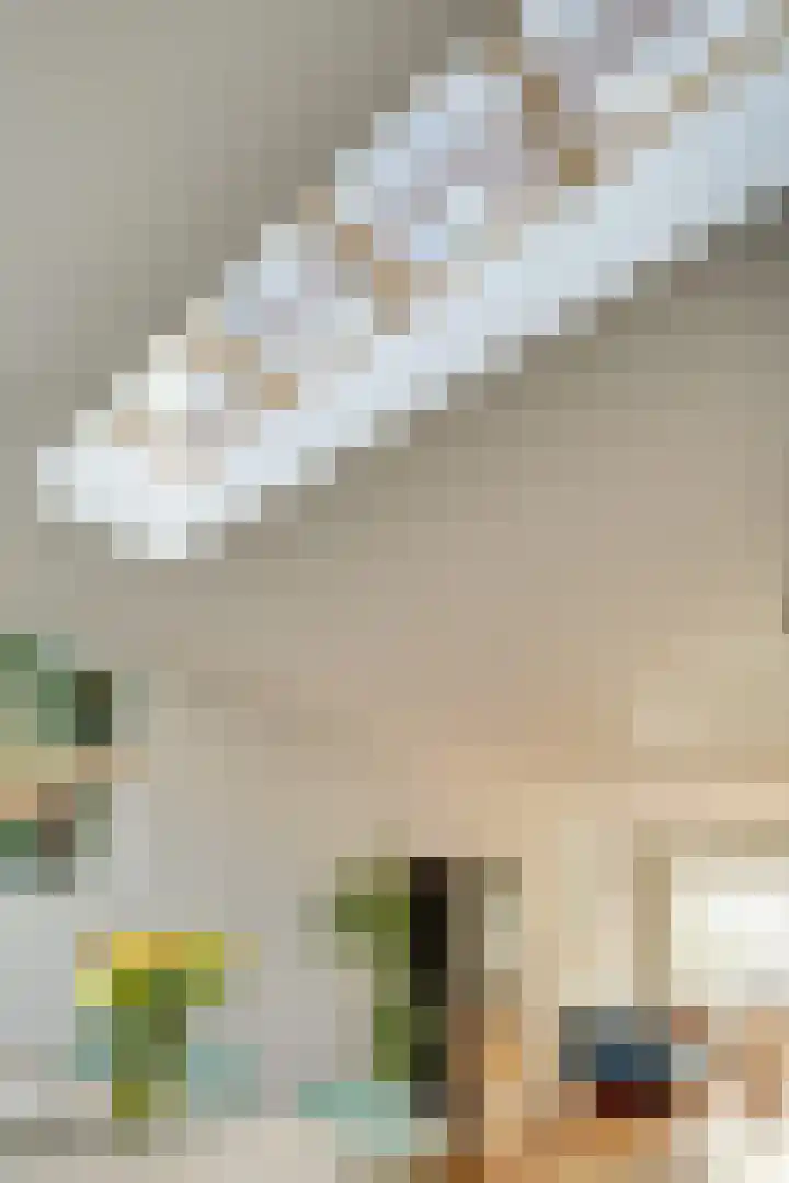 Julianaweg 285 Utrecht thumbnail 17