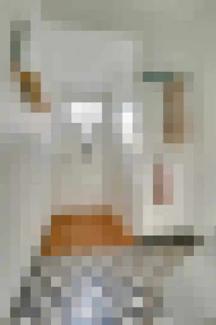 Julianaweg 285 Utrecht thumbnail 23