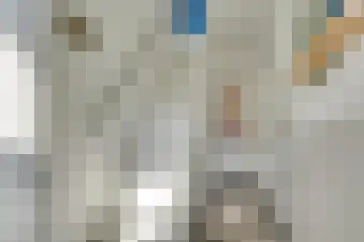 Julianaweg 285 Utrecht thumbnail 24