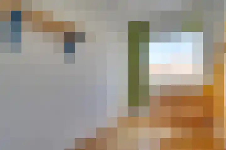 Julianaweg 285 Utrecht thumbnail 27