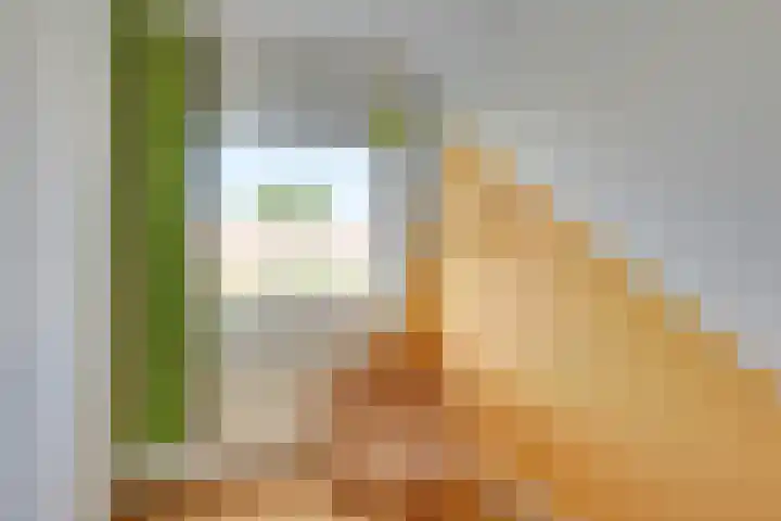 Julianaweg 285 Utrecht thumbnail 28