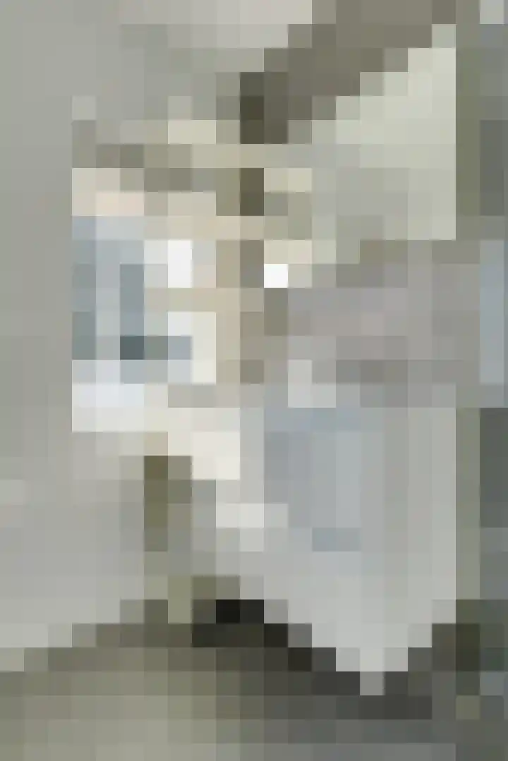 Julianaweg 285 Utrecht thumbnail 37