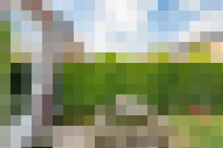 Julianaweg 285 Utrecht thumbnail 47