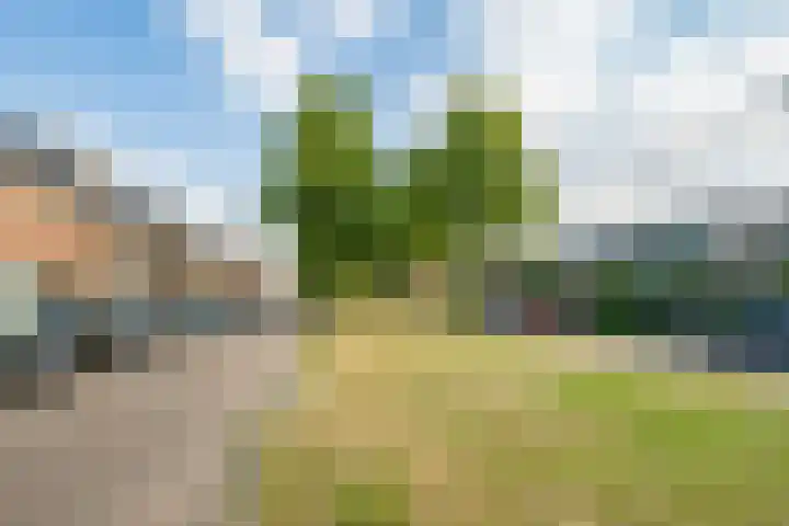 Julianaweg 285 Utrecht thumbnail 49