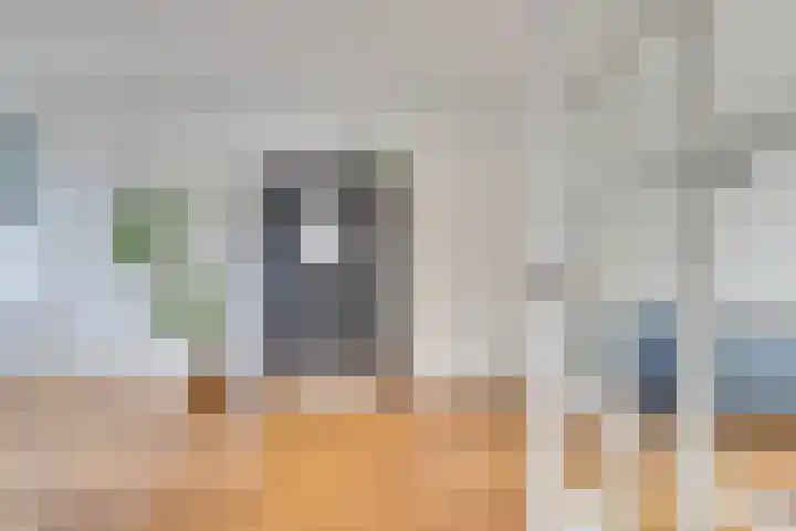 Julianaweg 285 Utrecht thumbnail 5