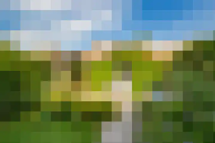 Julianaweg 285 Utrecht thumbnail 50