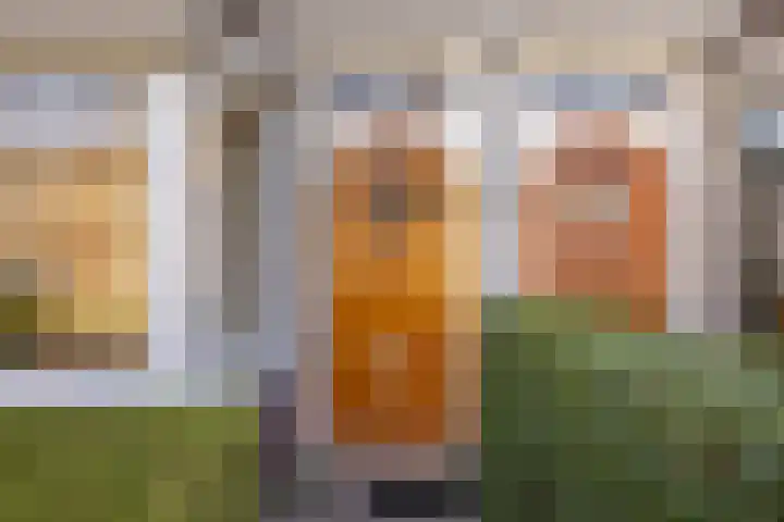 Julianaweg 290 Utrecht thumbnail 10