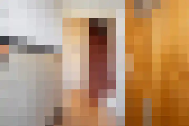 Julianaweg 290 Utrecht thumbnail 11