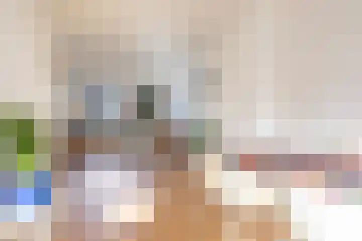 Julianaweg 290 Utrecht thumbnail 13
