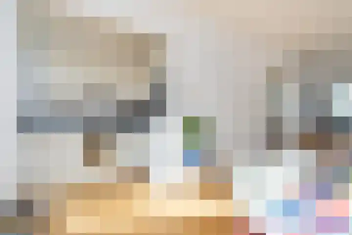 Julianaweg 290 Utrecht thumbnail 16