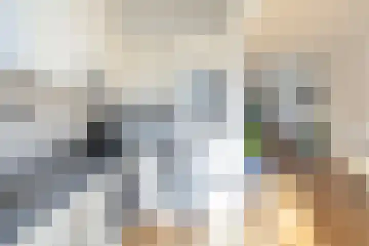 Julianaweg 290 Utrecht thumbnail 17