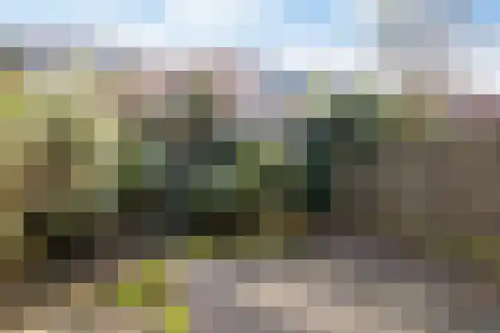 Julianaweg 290 Utrecht thumbnail 19