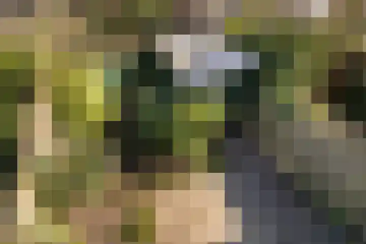 Julianaweg 290 Utrecht thumbnail 33