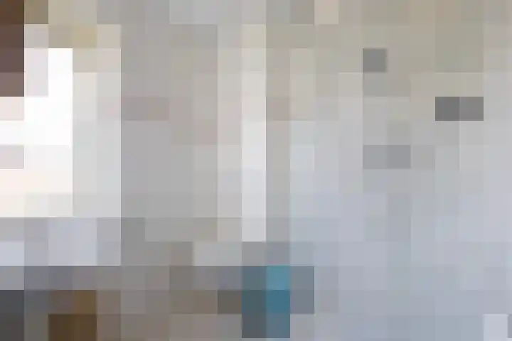 Julianaweg 290 Utrecht thumbnail 34