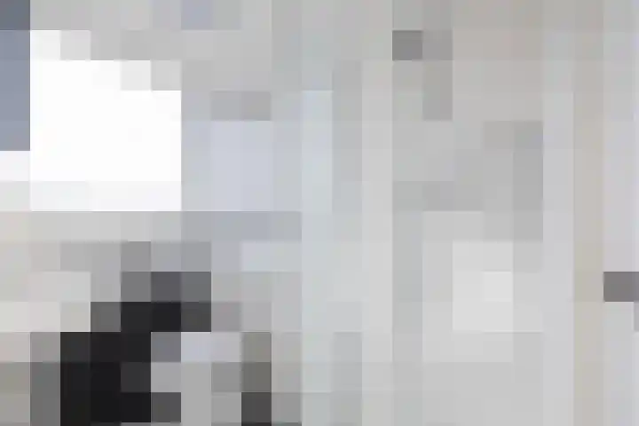 Julianaweg 290 Utrecht thumbnail 38