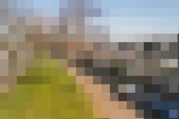 Julianaweg 290 Utrecht thumbnail 39