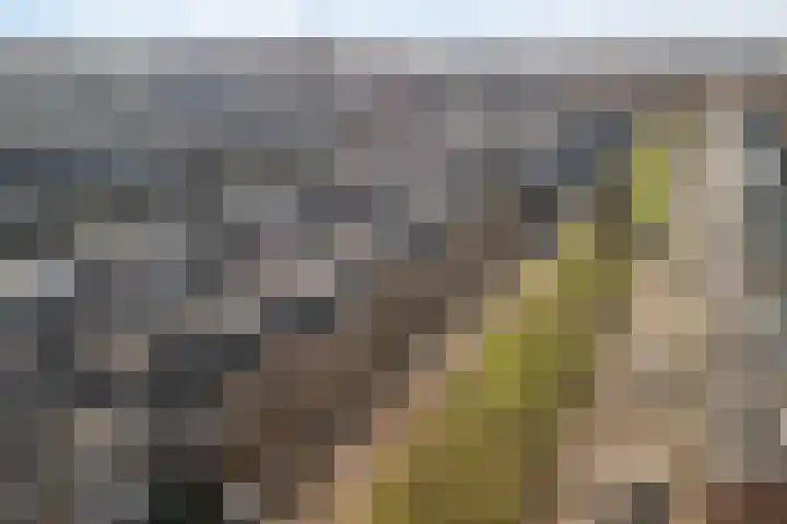 Julianaweg 290 Utrecht thumbnail 40