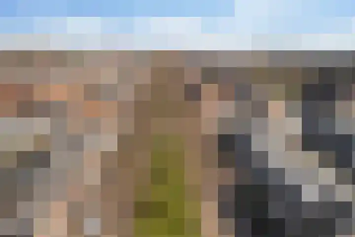 Julianaweg 290 Utrecht thumbnail 41