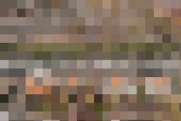 Julianaweg 290 Utrecht thumbnail 42