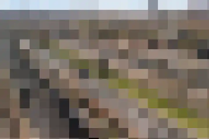 Julianaweg 290 Utrecht thumbnail 43