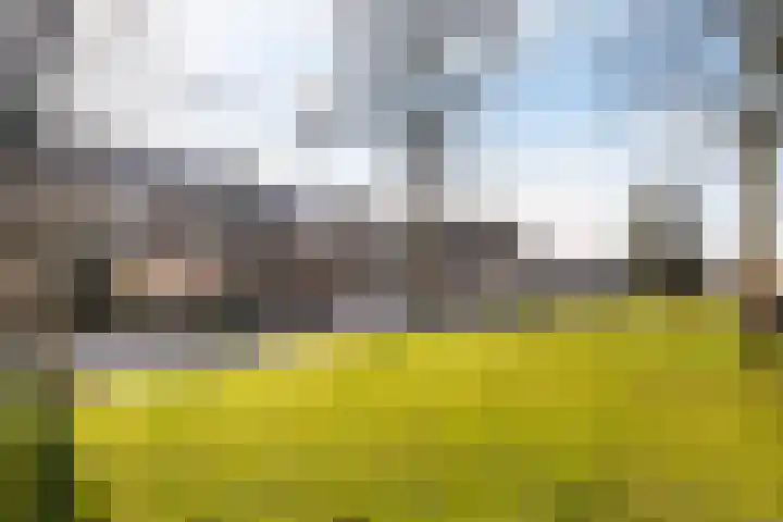Julianaweg 290 Utrecht thumbnail 9