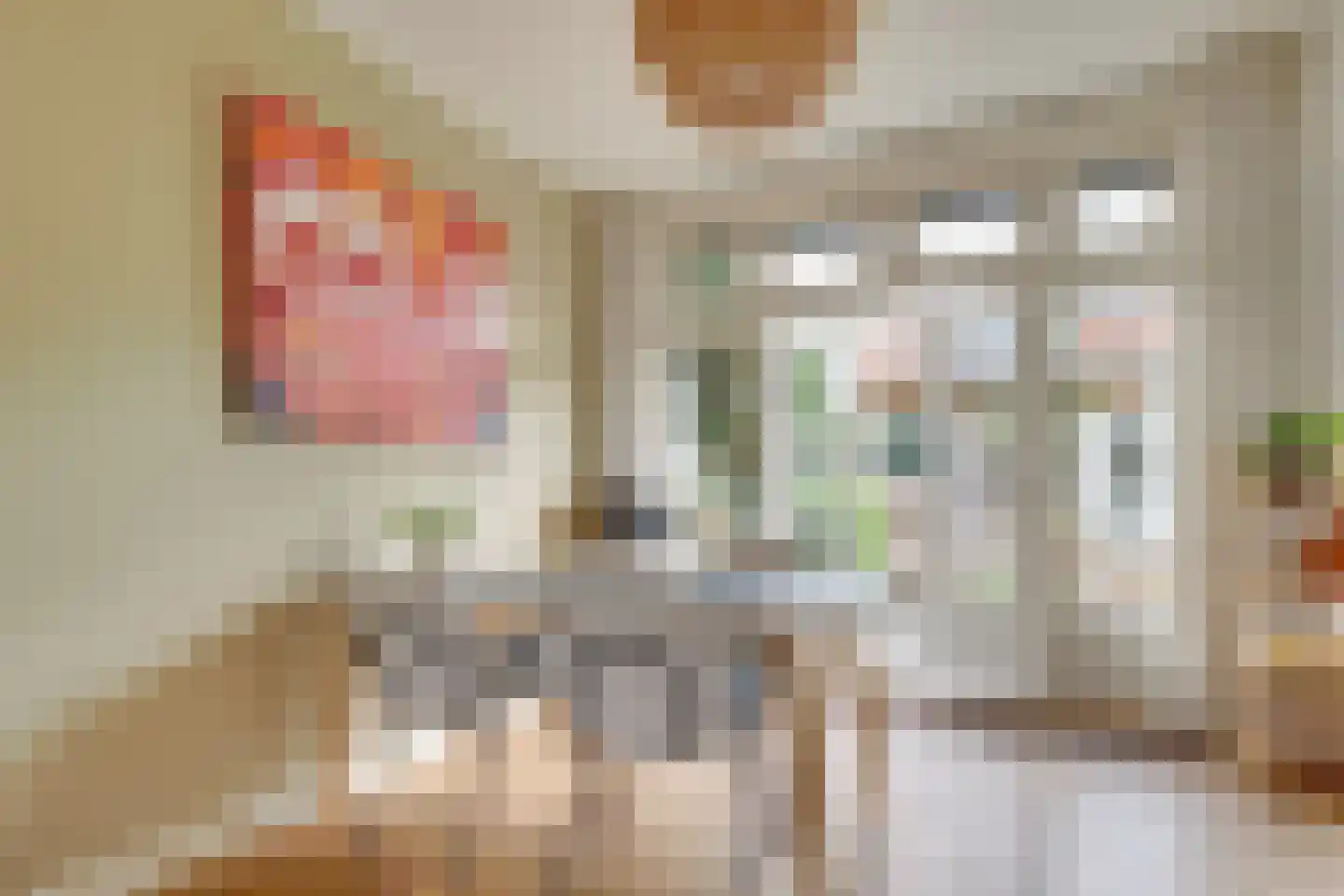 Julianaweg 294 Utrecht thumbnail 11