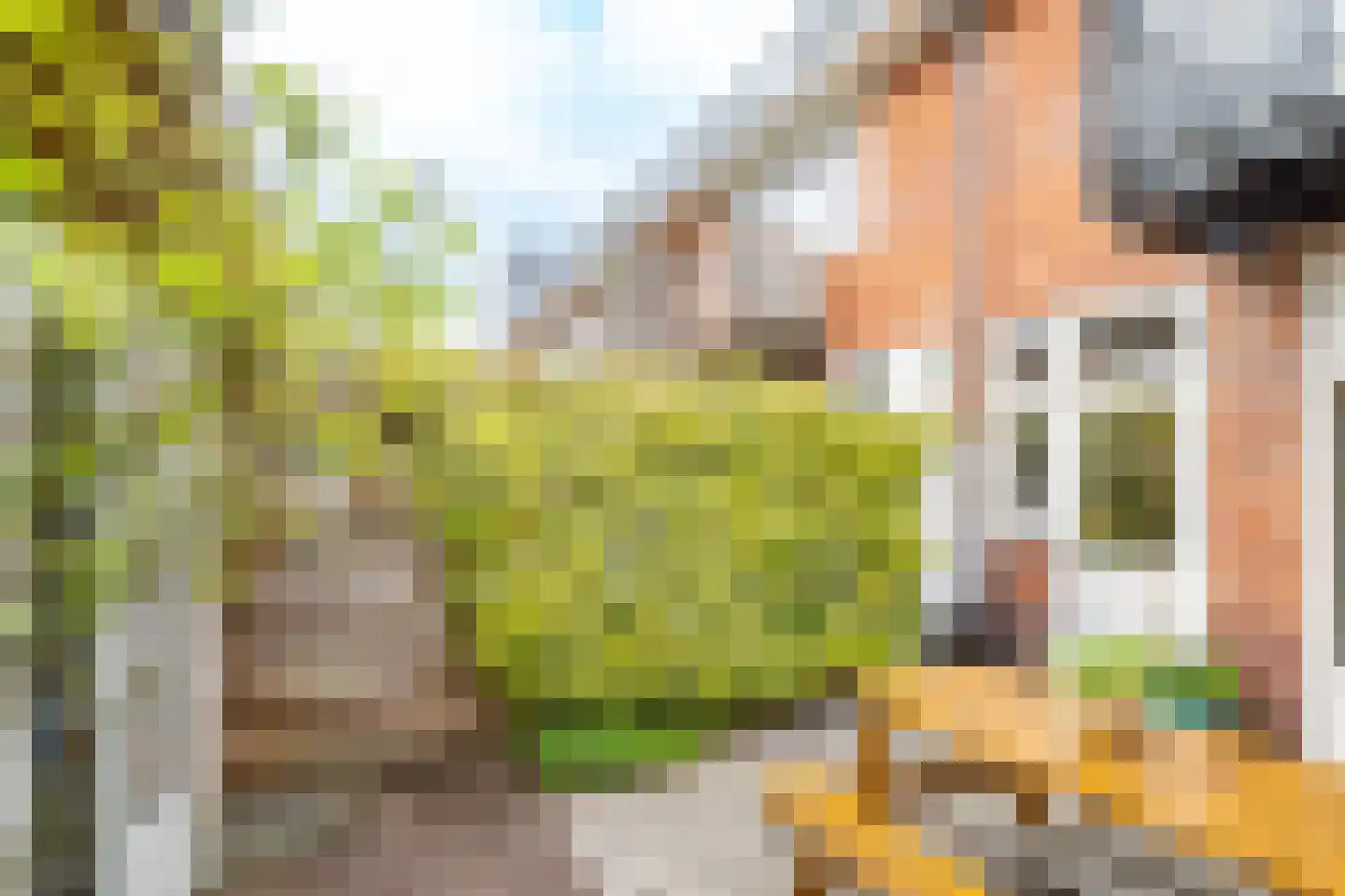 Julianaweg 294 Utrecht thumbnail 20