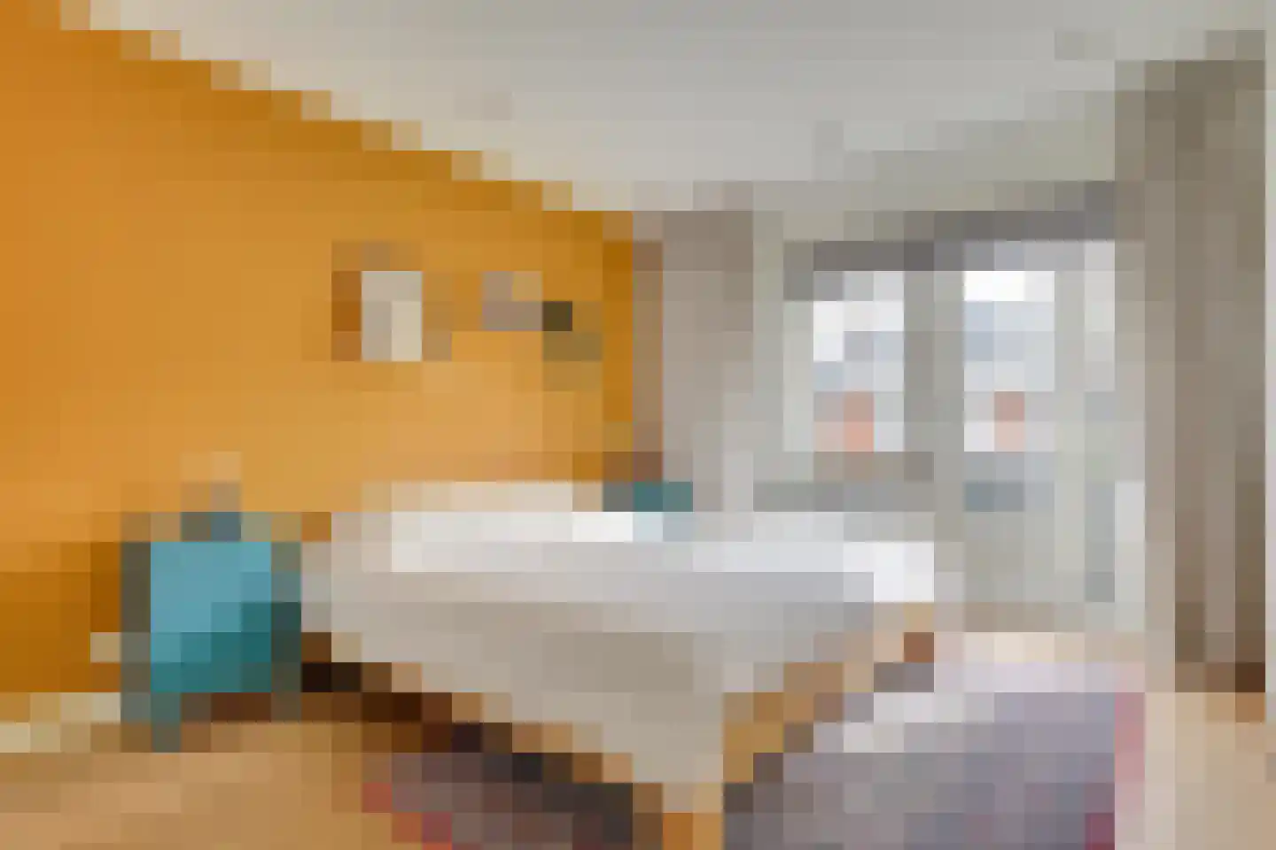 Julianaweg 294 Utrecht thumbnail 23