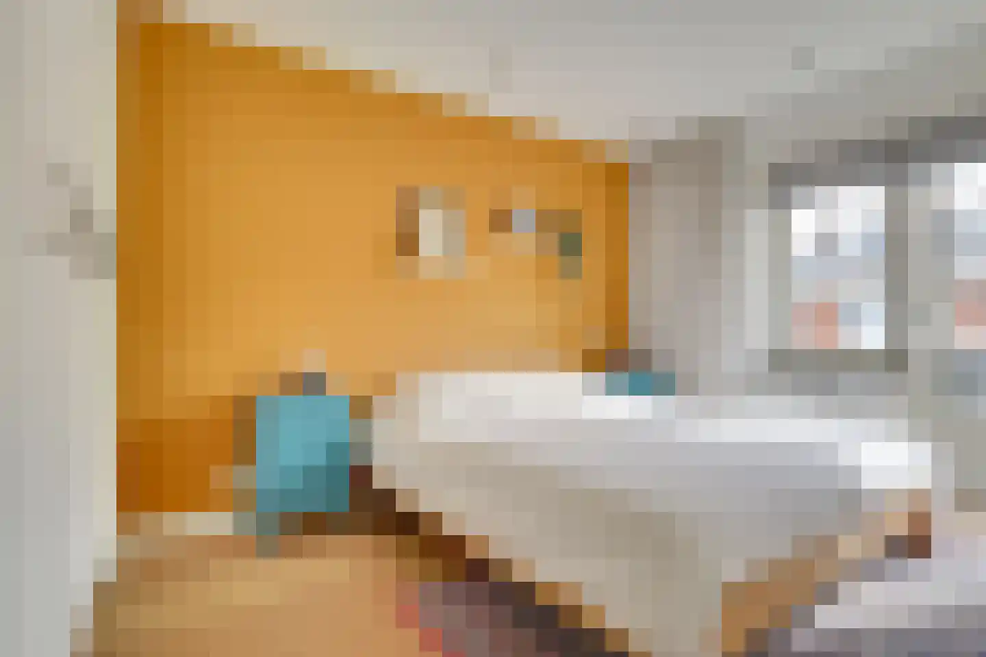 Julianaweg 294 Utrecht thumbnail 25