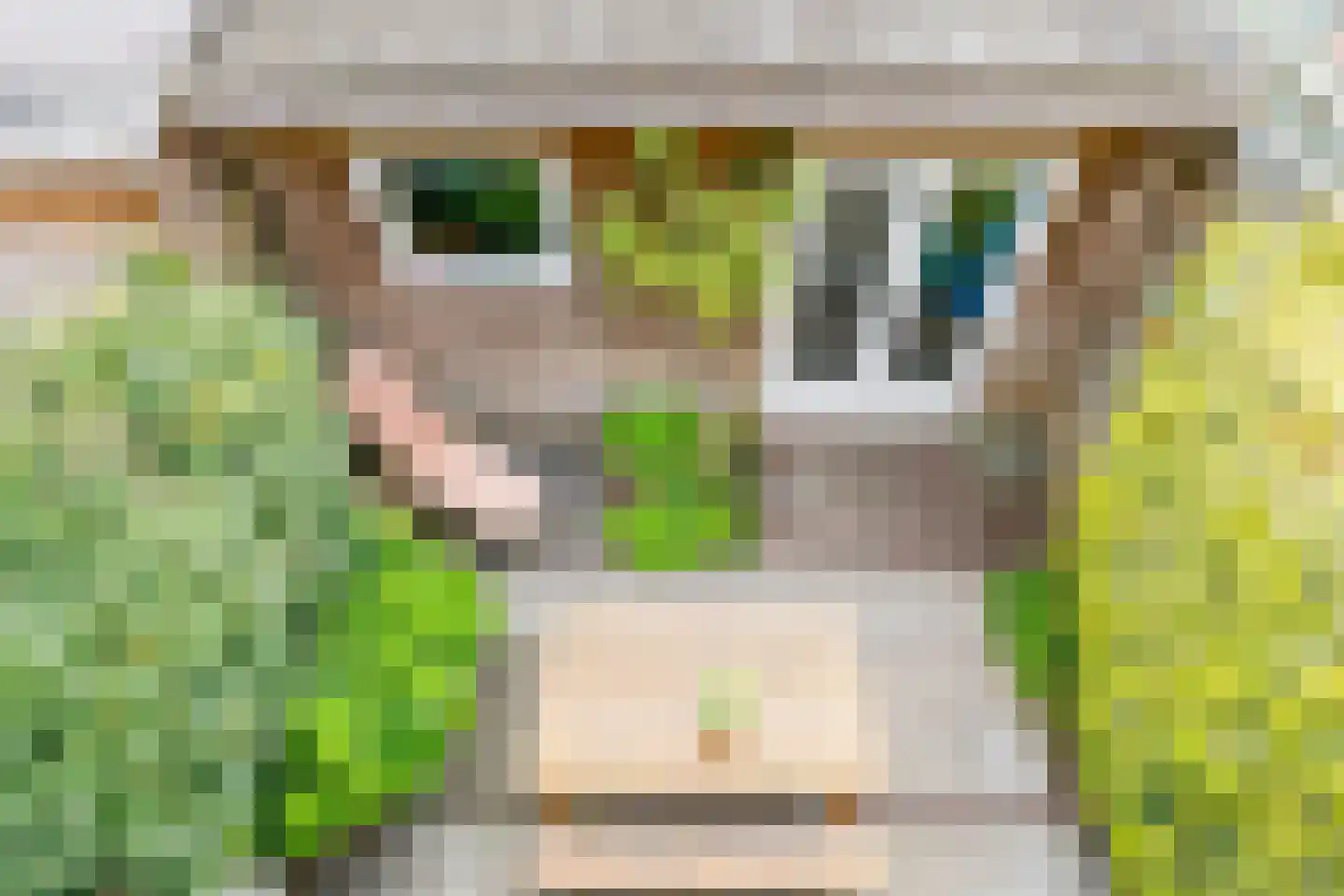 Julianaweg 294 Utrecht thumbnail 28