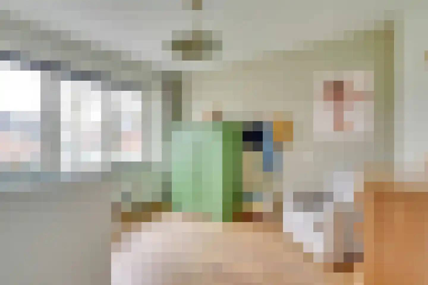Julianaweg 294 Utrecht thumbnail 29