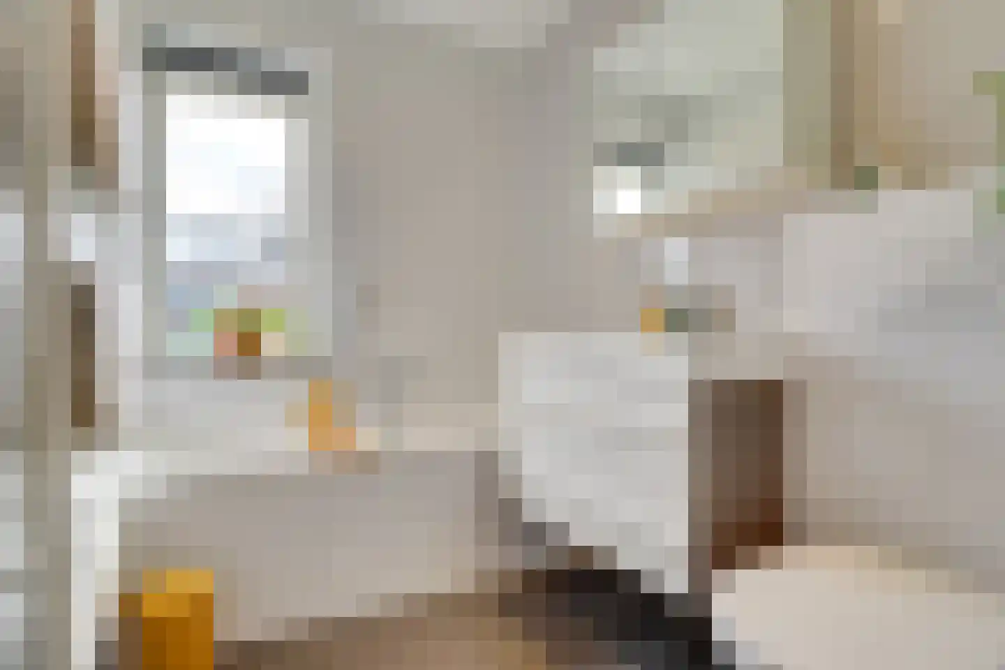 Julianaweg 294 Utrecht thumbnail 33