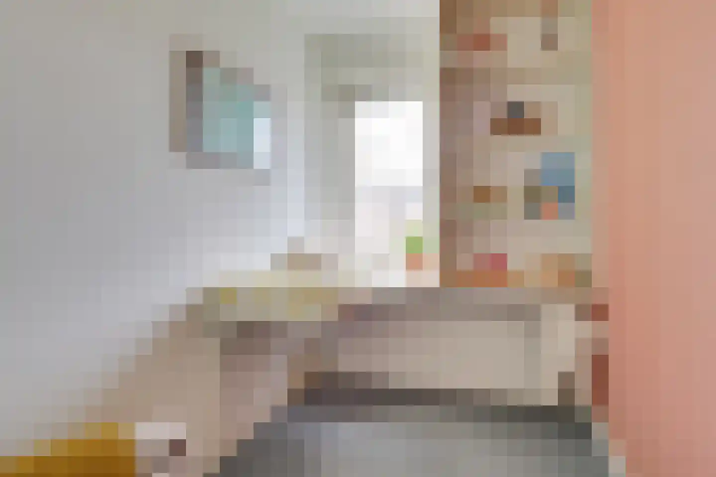 Julianaweg 294 Utrecht thumbnail 37