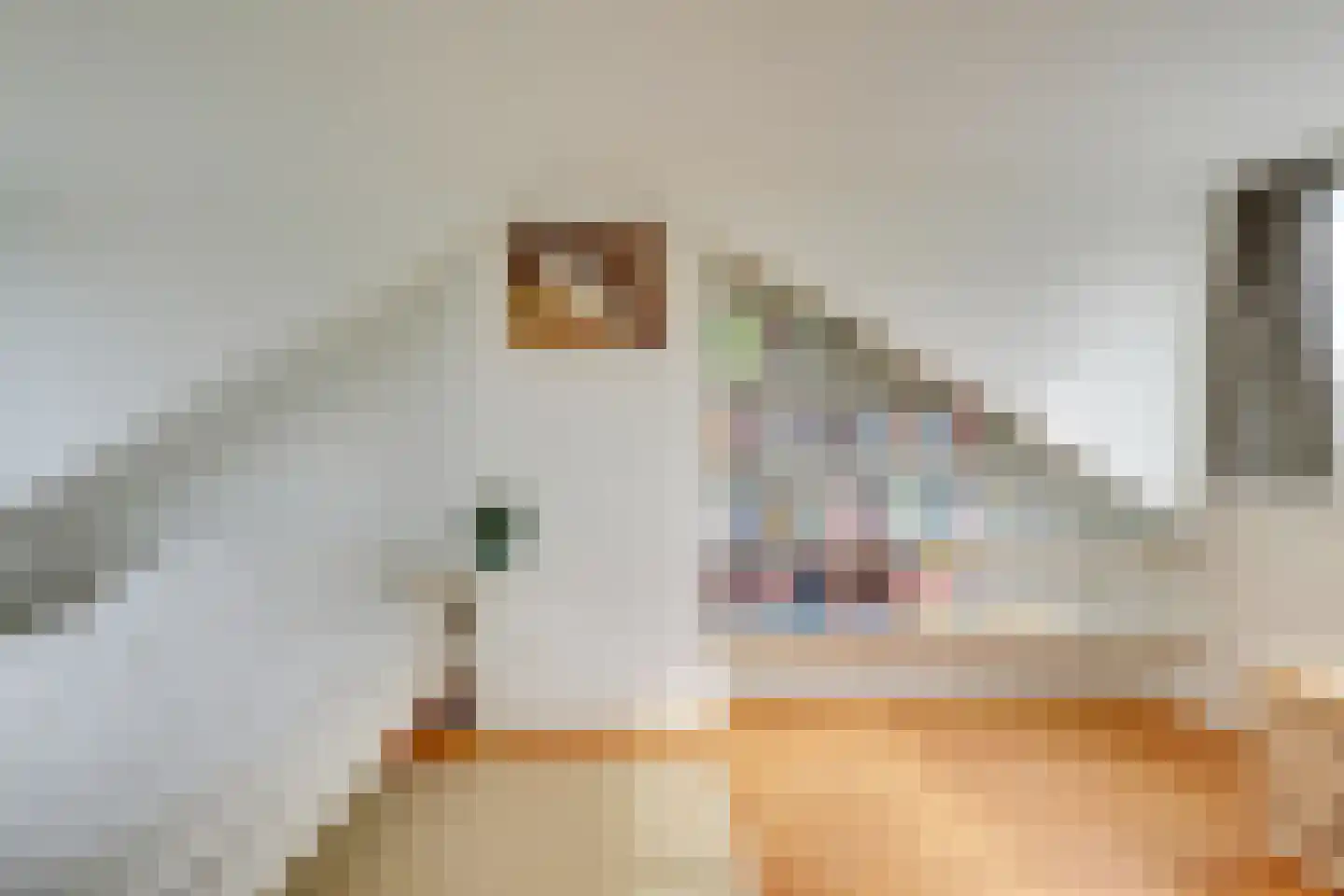 Julianaweg 294 Utrecht thumbnail 40