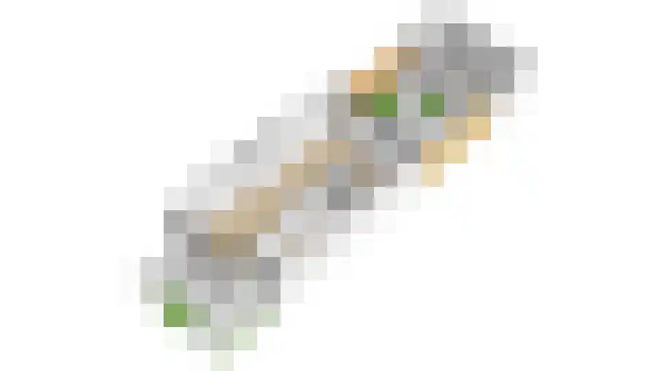 Julianaweg 294 Utrecht thumbnail 59