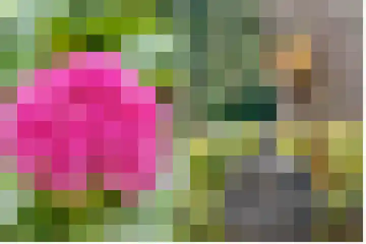 Julianaweg 30 Doorn thumbnail 10