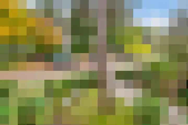 Julianaweg 30 Doorn thumbnail 33