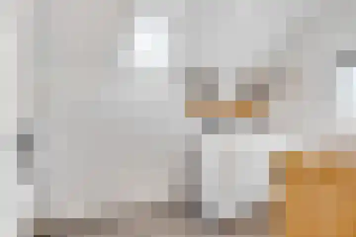Julianaweg 30 Doorn thumbnail 36