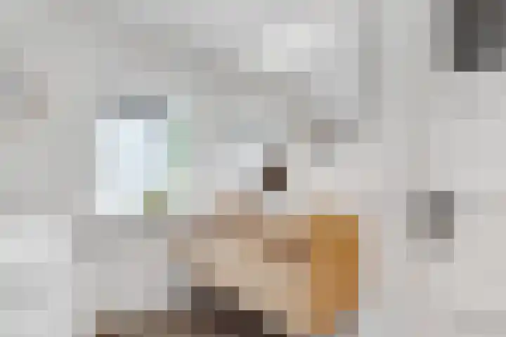 Julianaweg 30 Doorn thumbnail 37