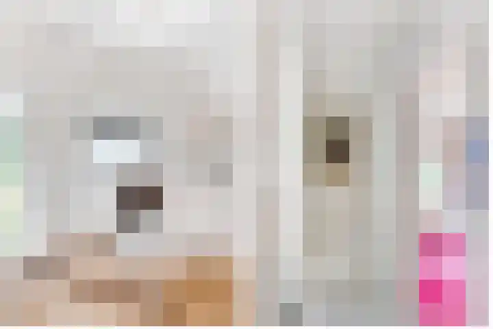 Julianaweg 30 Doorn thumbnail 38